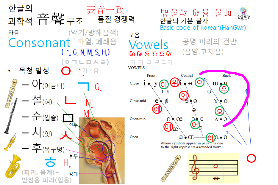 한글의 첨단 음성학 구조 설명